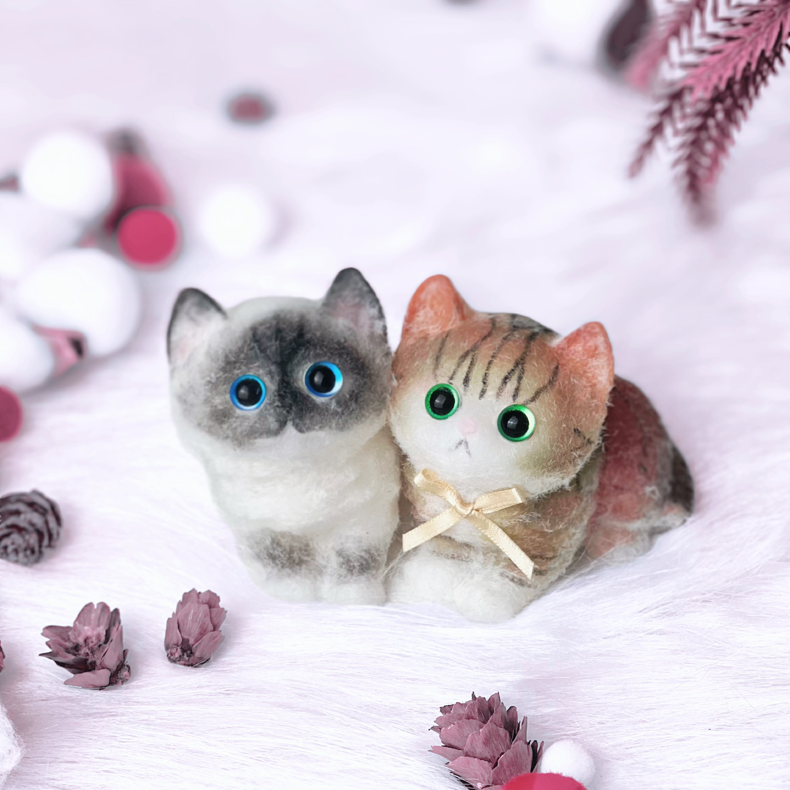 Siamese cat & Calico cat , Tiny and soft