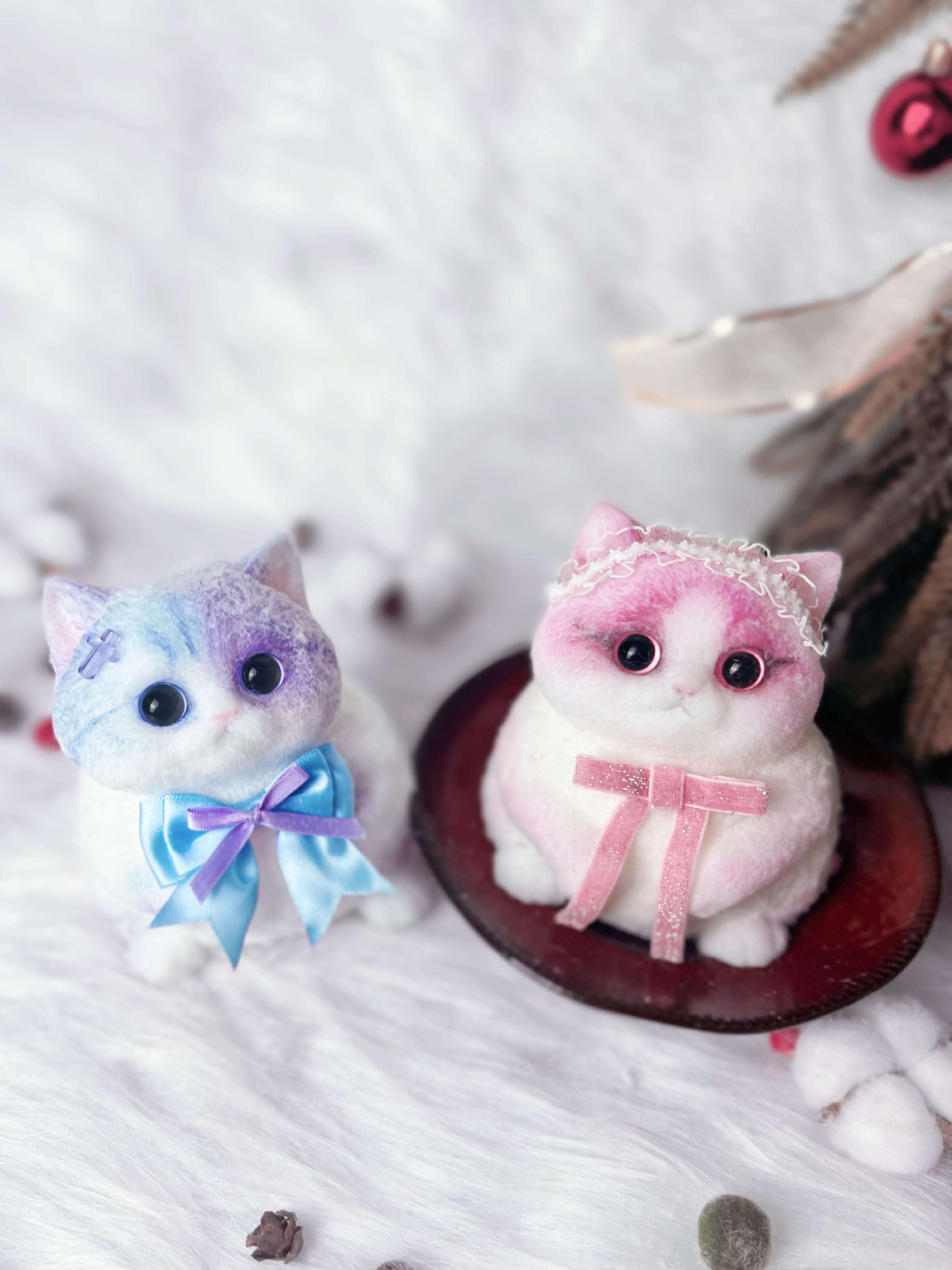 Barbie kitty and heterochromatic cats ,They're best friends.