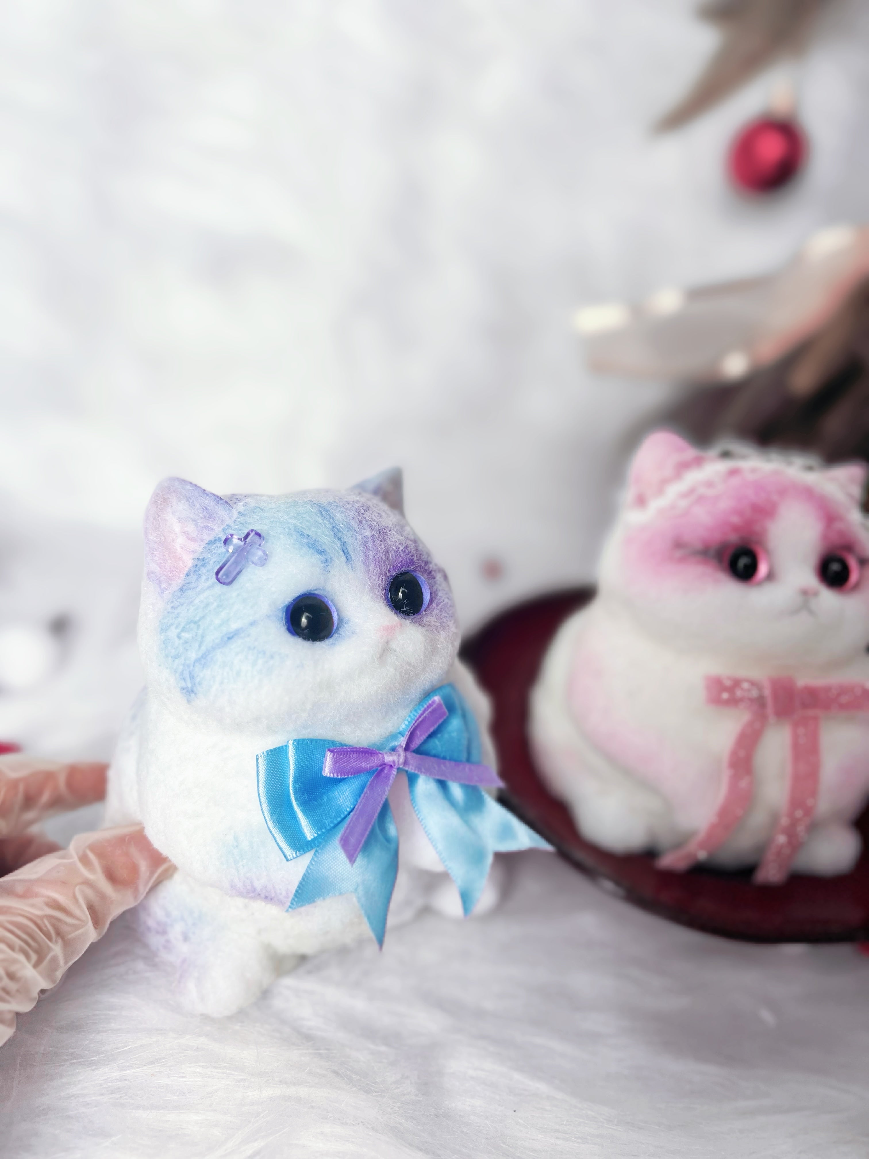 Barbie kitty and heterochromatic cats ,They're best friends.